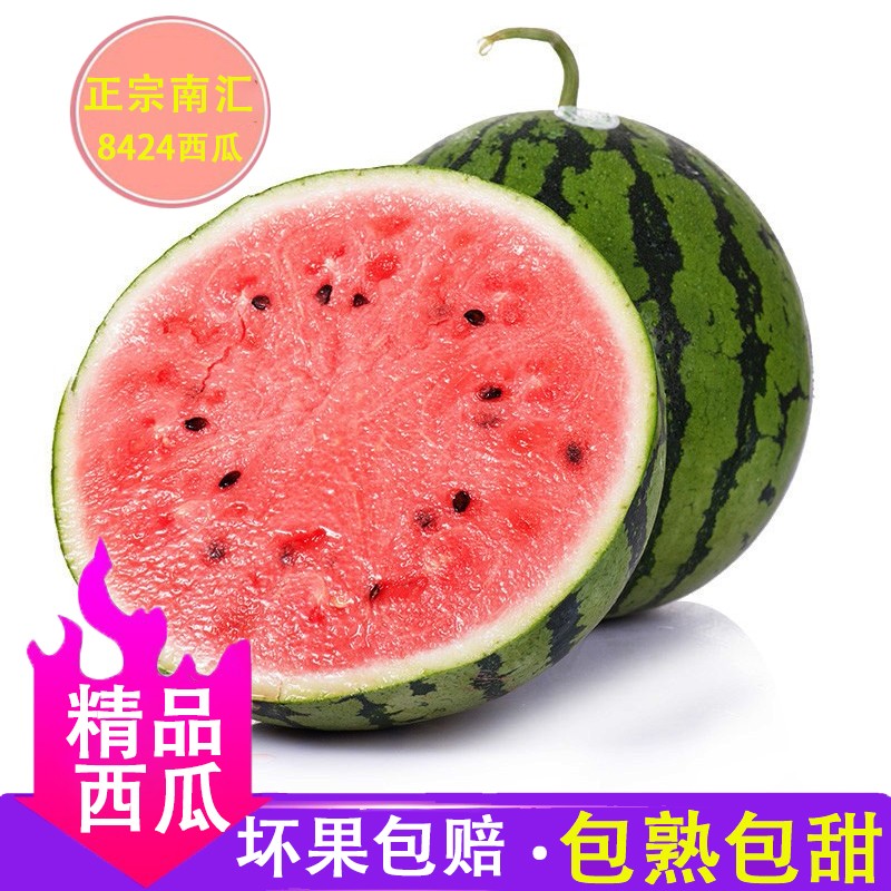 上海南汇8424西瓜 2只单果6-8斤 超甜薄皮现摘头茬麒麟西瓜包熟当季时令新鲜水果