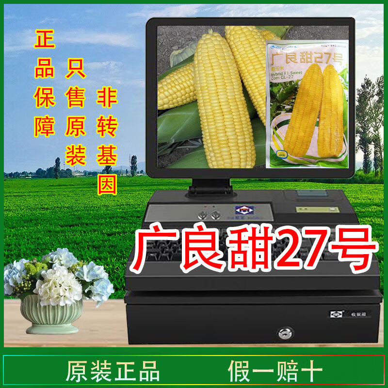 咯咚广良甜27号超甜水果玉米种子大棒甜玉米生食太阳花非转基因 2袋95