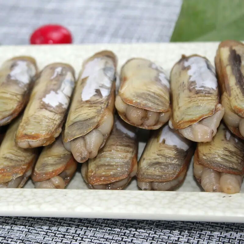 蜜钰鲜圣子王鲜活蛏子蛏新鲜蛏子现捞现发即食营养活发带壳 0.