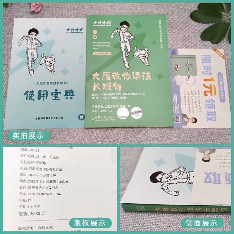 2024考研英语一二刘晓艳大雁教你语法长难句+大雁精讲58篇基础阅读+大雁带你写高分写作