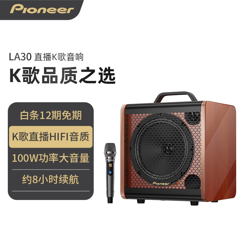 先锋(pioneer) 家庭ktv无线蓝牙音箱乐器音箱手提便携户外音响大音量