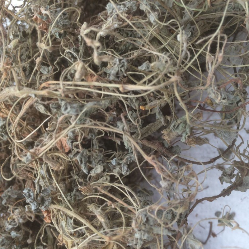 中药材酸浆草整棵云南中药材酸浆草黄花酢浆草新鲜晒干三叶草100g 100