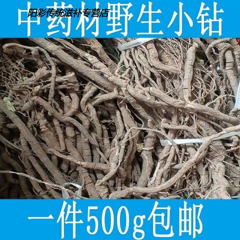 中药材小钻 野生钻骨风 小血藤 500克 图片色