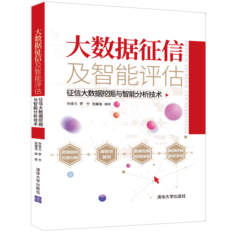 大数据征信及智能评估：征信大数据挖掘与智能分析技术