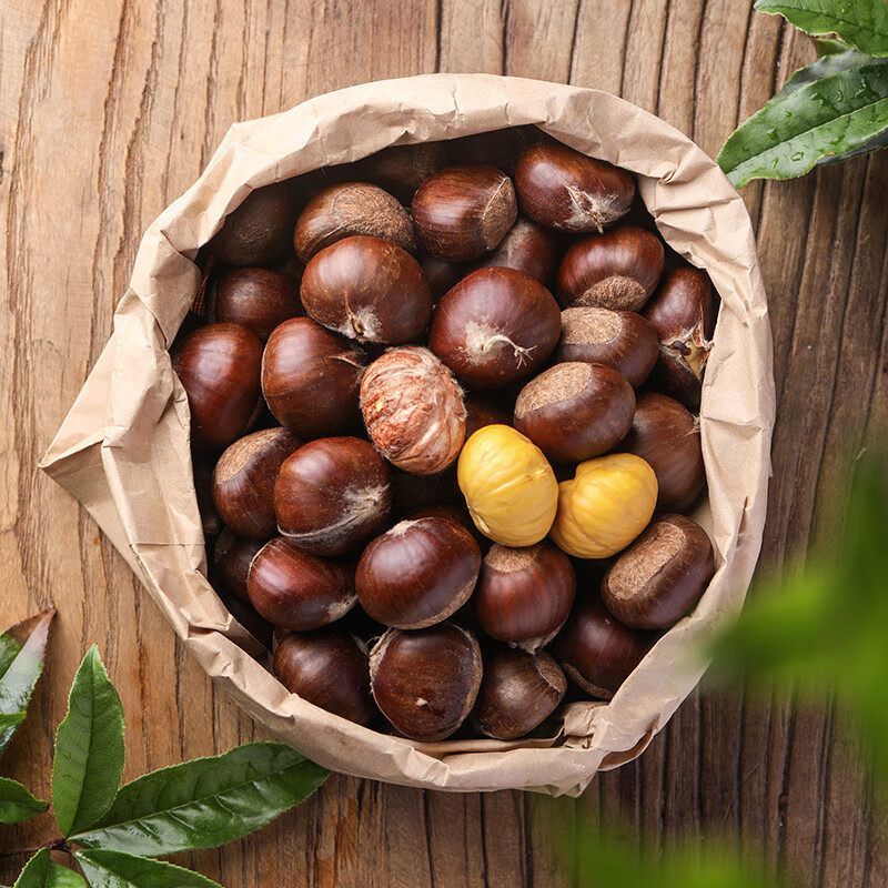 味巴哥迁西生板栗 正宗燕山板栗油栗毛栗子新鲜板栗 生 农家现摘现发