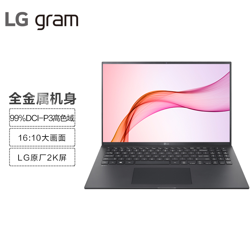 LG gram 2021款16英寸超轻薄窄边框 16:10大画面 笔记本电脑 轻薄本(11代i5 8G 256G 2k屏 锐炬显卡 雷电4)黑