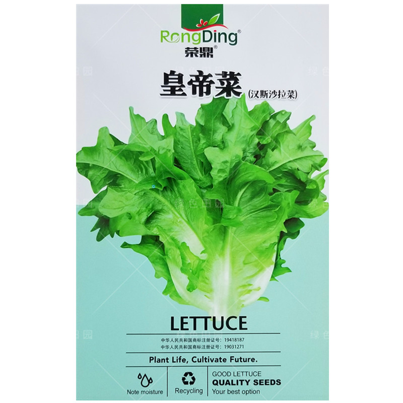 皇帝菜种子春夏秋四季播特色蔬菜籽阳台菜园速生高产孑 皇帝菜汉斯沙