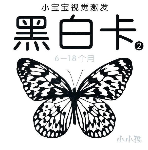 小宝宝视觉激发 黑白卡2 6-18个月