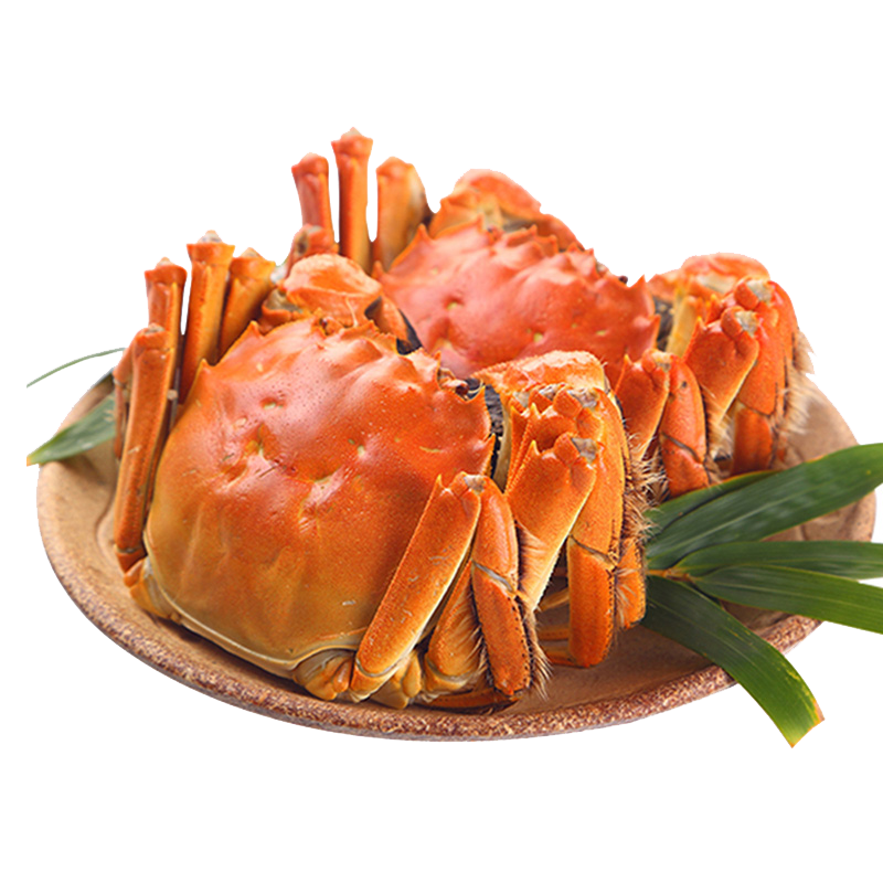 зOʦѡբзȫĸ2-2.38ֻ ȥʻзֻˮ 98Ԫ