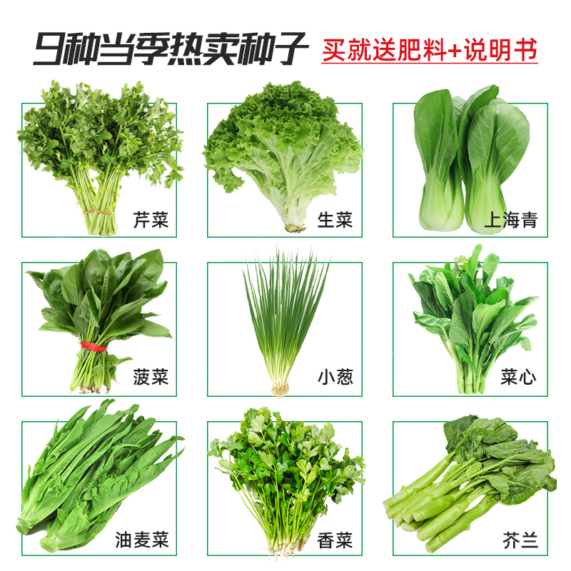 黎昕  四季蔬菜种子套餐大全春天种青菜阳台盆栽各种蔬莱孑莱种籽全部