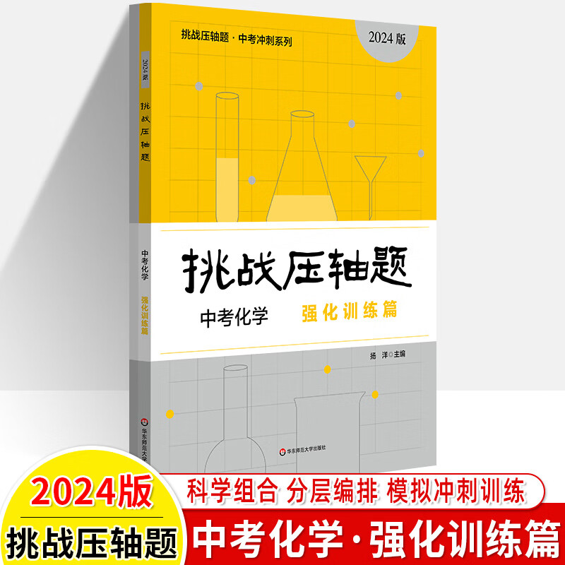 挑战压轴题中考化学强化训练篇初中中考真题化学总复习资料化学专项