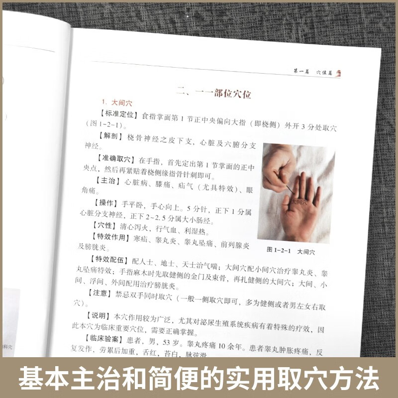 董氏奇穴速查手册 董氏奇穴实用手册 针灸穴位图解 针灸推拿正经奇穴学 中医针灸学书籍