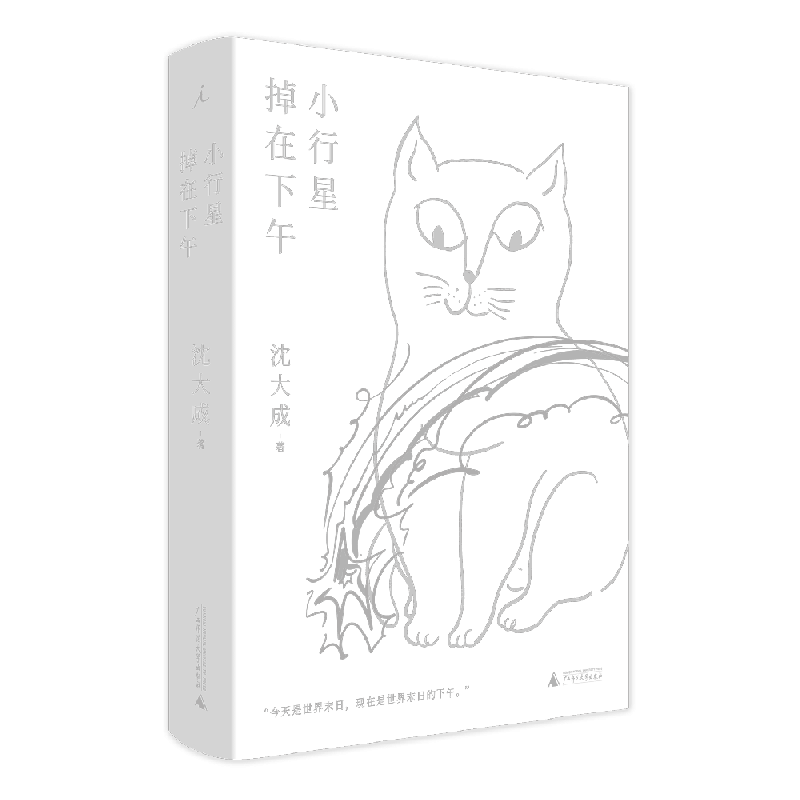 小行星掉在下午 精装 宝珀理想国文学奖决选作者沈大成全新小说集 给沈大成6分钟 她给