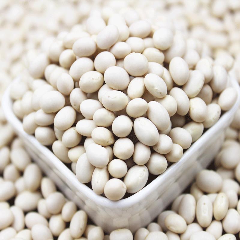 小白豆1斤5斤小白芸豆 农家自种珍珠豆豆 炖菜煲豆类杂粮 小白豆【五