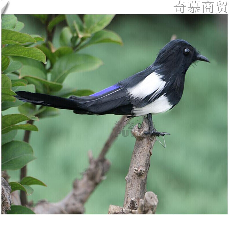 曼影(manying)仿真喜鹊羽毛摆件工艺品园艺道具假鸟非活体家居饰品