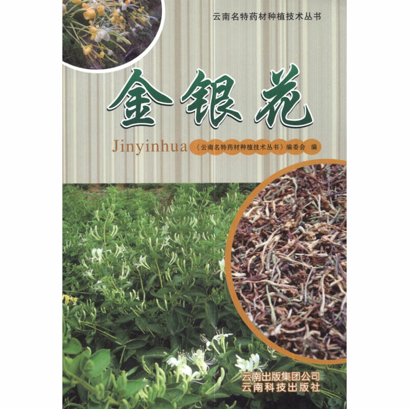 金银花农业/林业/农业基础科学作者9787541672965云南科技出版社有限