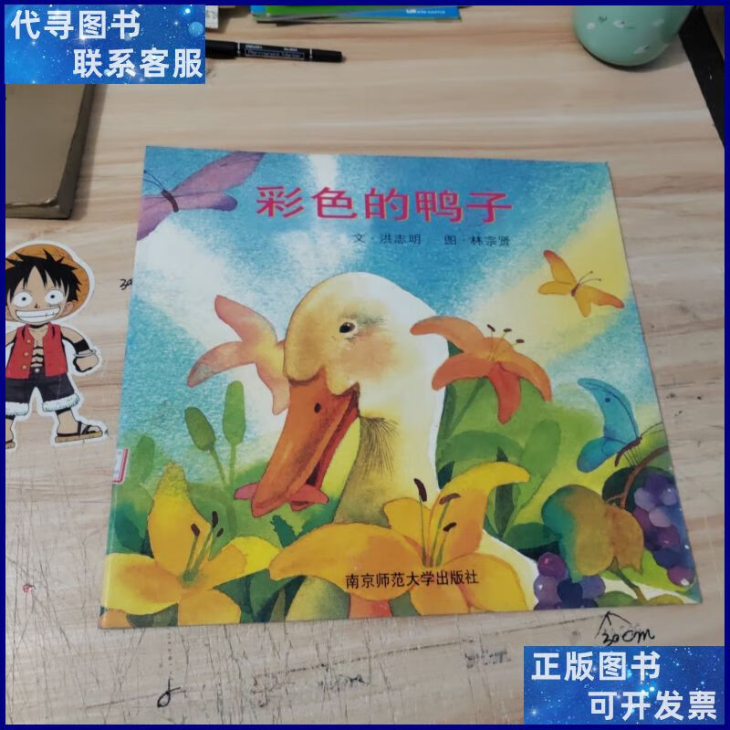 彩色的鸭子,超大绘本 南京师范大学出版社二手书