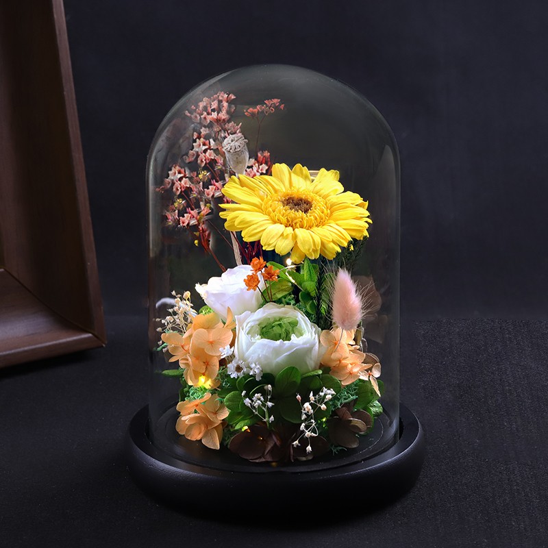 ��˼�����������տ��滨���˽ھ��������Ů�Ѱ���Ů��Ů���������� ���Ž���A����ÿ 329Ԫ