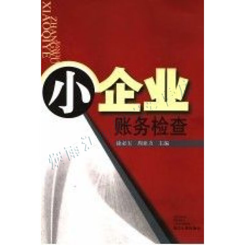 小企业财务检查