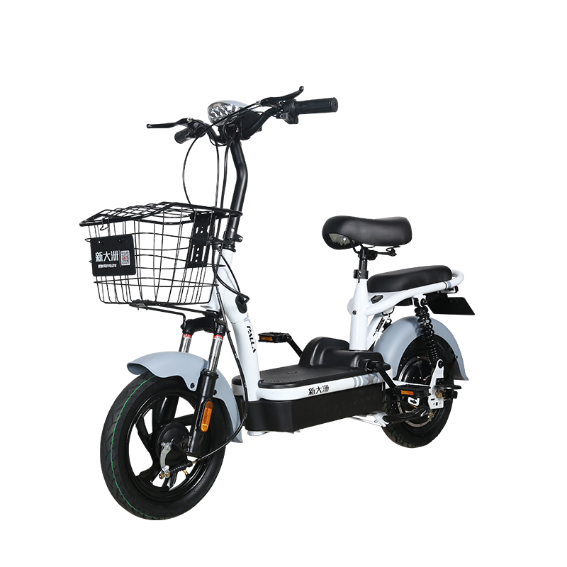 palla 新大洲 k17 新国标电动车 tdt13