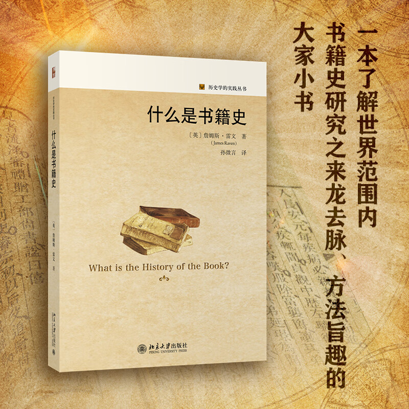 什么是书籍史/历史学的实践丛书