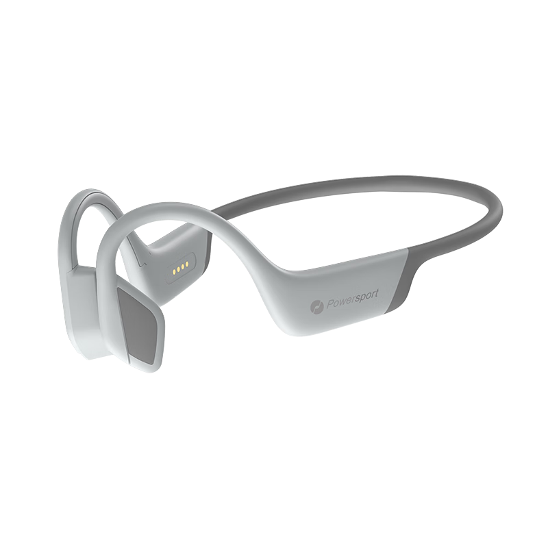 iGene/���� B1 �������� �� 114.84Ԫ(������)