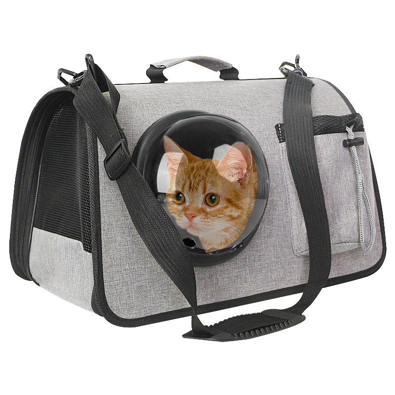 贝尼宠猫包价格走势，性价比最高的航空箱/便携包