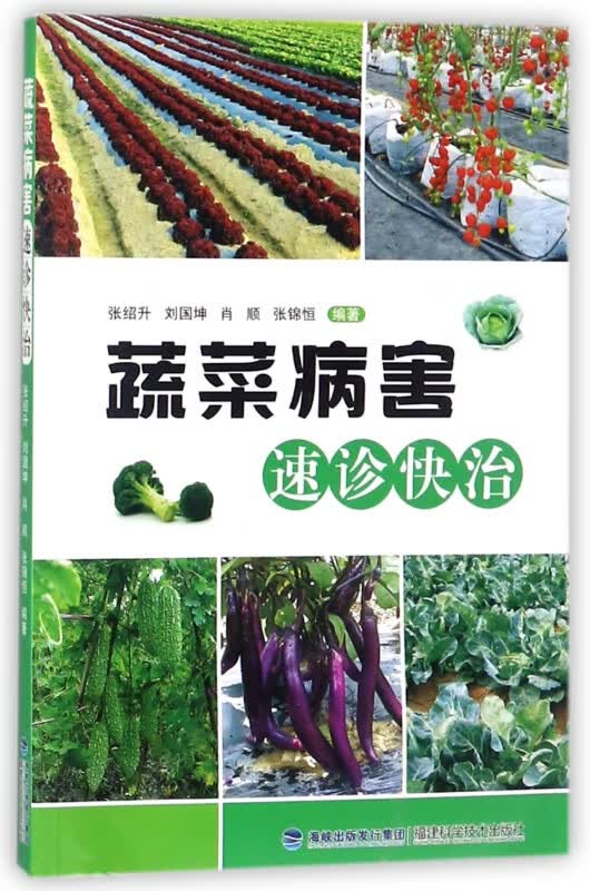 蔬菜病害速诊快治