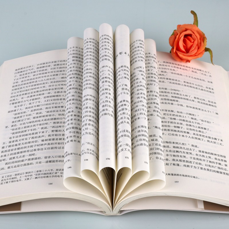 喧哗与骚动 福克纳 喧哗与躁动 李文俊新译本 多角度叙述结构意识流神话模式艺术特色书籍 社会学小说