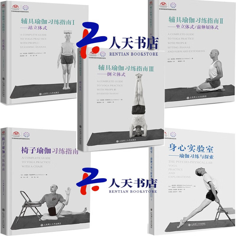 椅子瑜伽+身心实验室+辅具瑜伽习练指南123(中文版共5本)站立体式+坐立体式+倒立体式艾扬格瑜伽 书籍