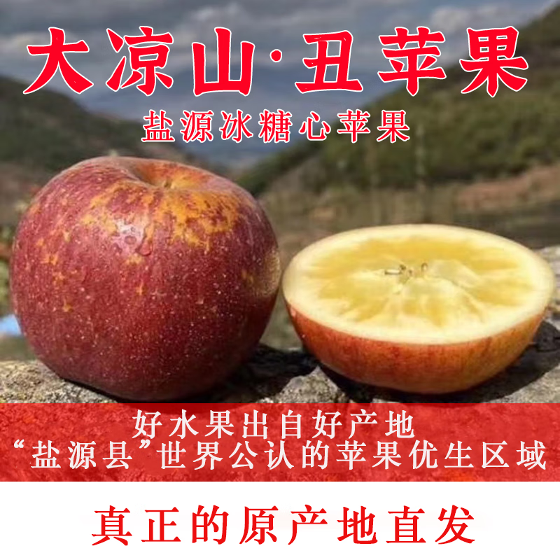 [盐源助农馆]盐源苹果大凉山丑苹果冰糖心苹果脆甜多汁新鲜采摘 净重8斤装中大果(75-80mm)