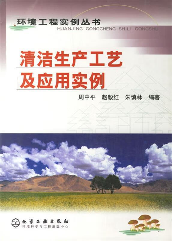 清洁生产工艺及应用实例【正版书】