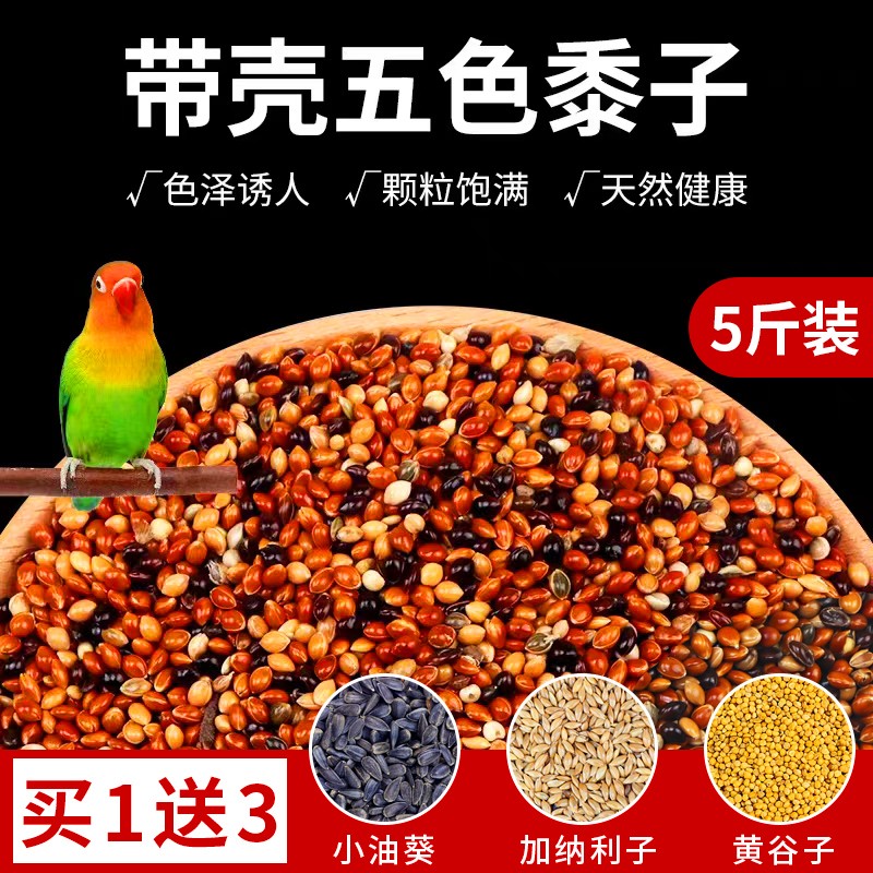 花卷宝宝鹦鹉饲料鸟粮带壳谷子小米鸟食玄凤虎皮牡丹专用鸟食五色黍子粮食 5斤