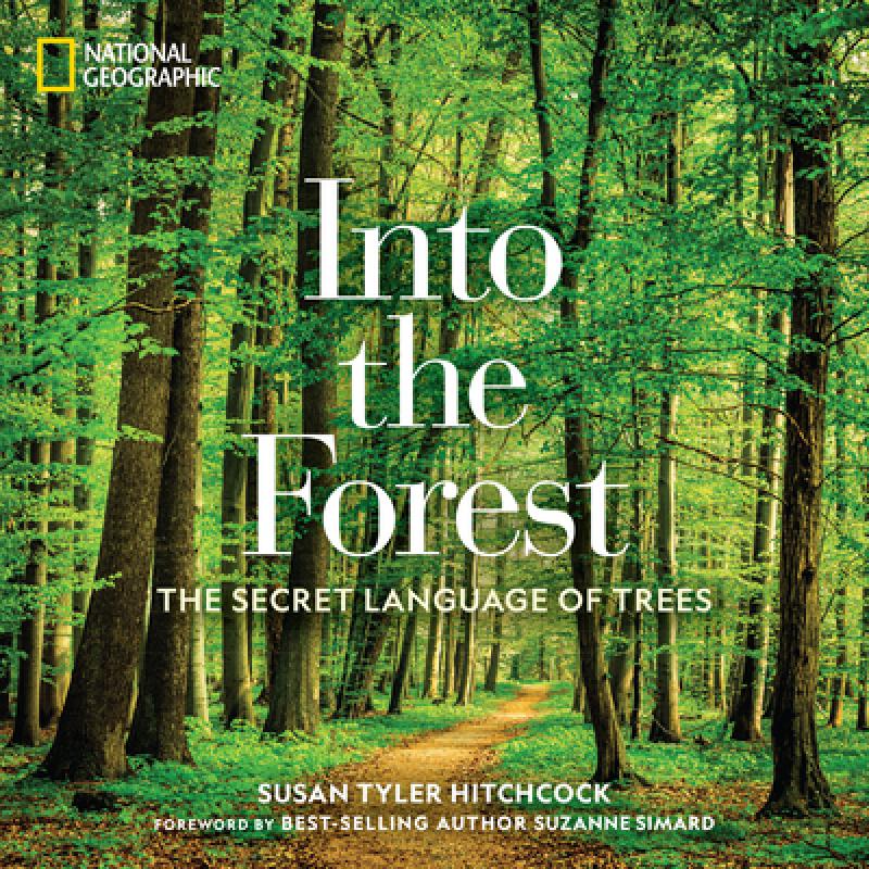 预订 Into the Forest: The Secret Language of Trees