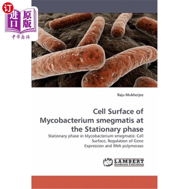 smegmatis at the stationary phase 耻垢分枝杆菌固定期细胞表面