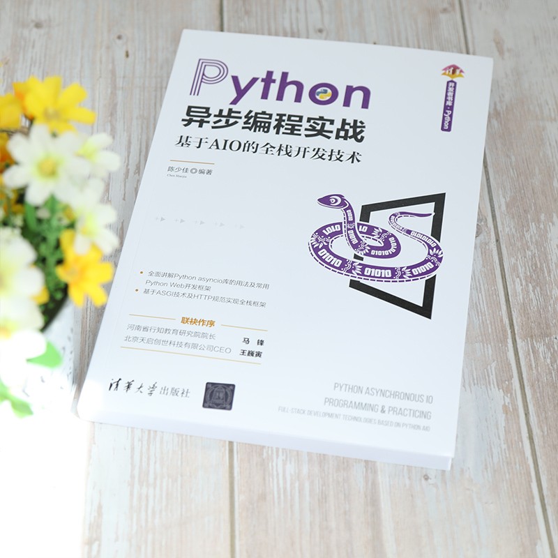 Python异步编程实战:基于AIO的全栈开发技术/清华开发者书库详情图