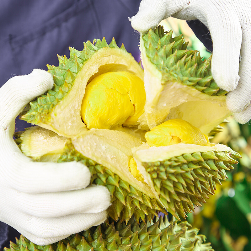 定制正宗猫山王榴莲d101整果液氮冷冻新鲜水果带壳顺丰马来西亚