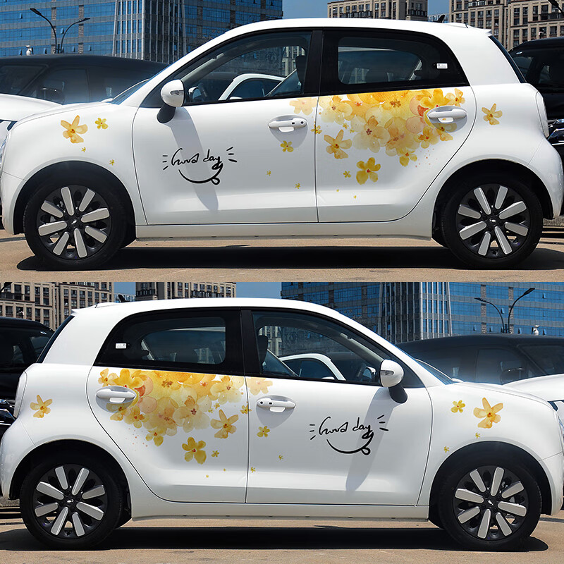 适用于欧拉白猫车贴黑猫车身拉花长安奔奔装饰彩条贴画新能源贴纸