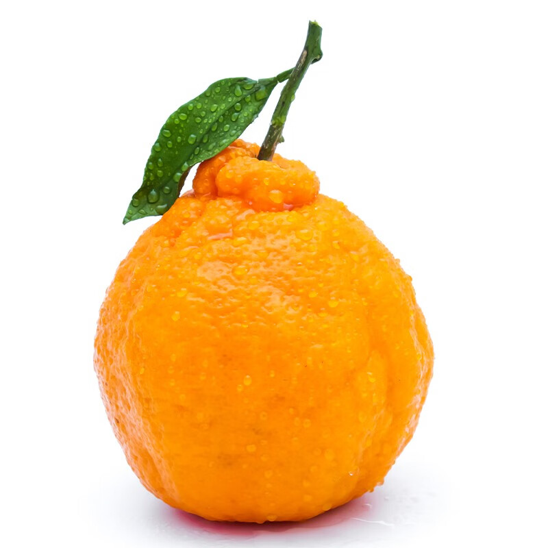 韶云山桔橘，阳光味道带来的果风情|在网上购物怎么查桔橘历史价格的