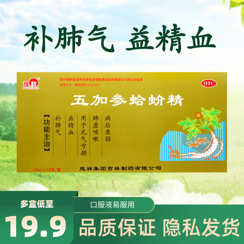 茂祥 五加参蛤蚧精 口服液 12支 补肺气益精血补肺润肺 1盒装