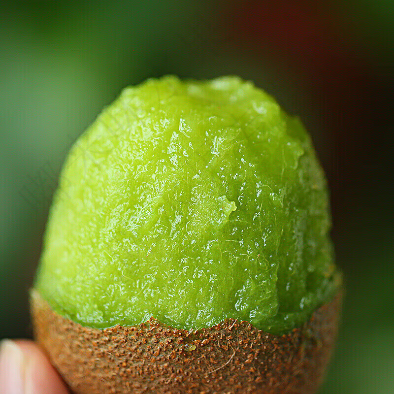 皓谦西域美农陕西翠香猕猴桃 新鲜奇异果 24/30枚净重4.