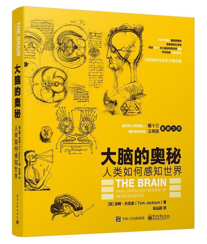 大脑的奥秘:人类如何感知世界【正版图书，放心购买】