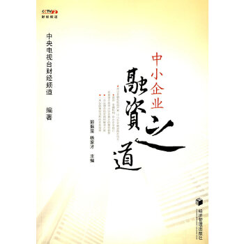 中小企业融资之道【正版图书】