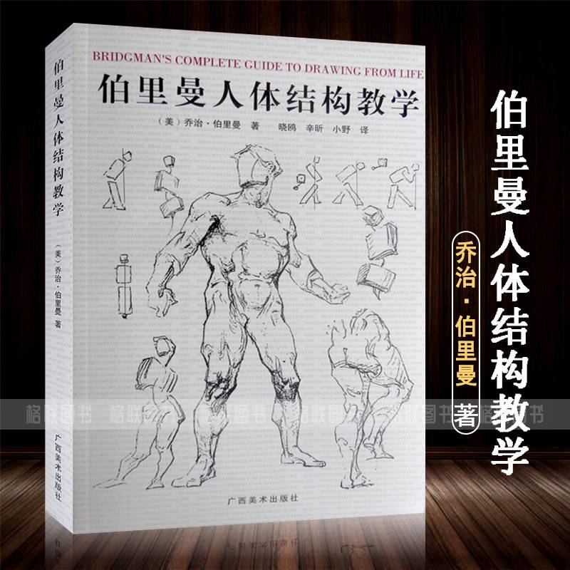 乔治伯里曼著解剖素描绘画教程艺用人体解剖结构教学技法艺术美术