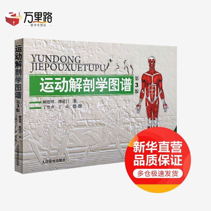 运动解剖学图谱