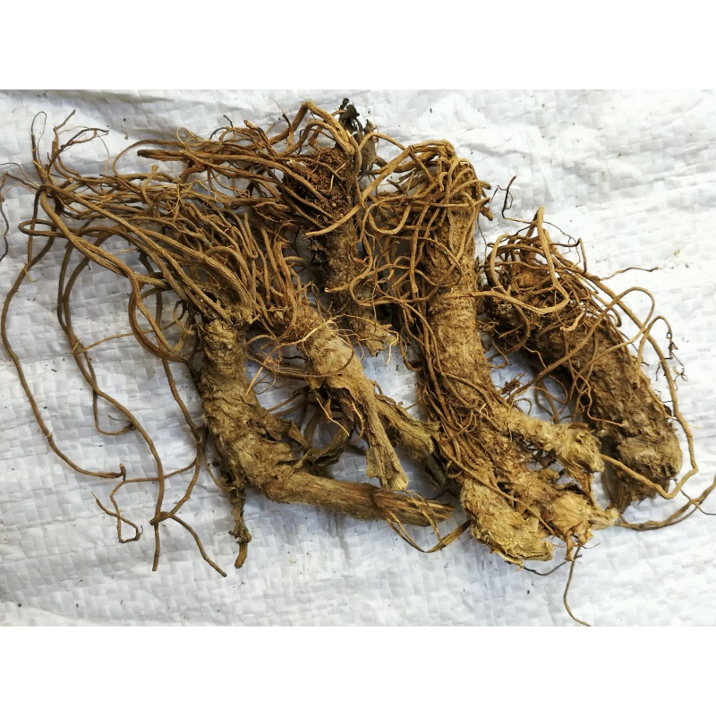 地胆头 新鲜干货500克 草药地胆头地斩头地胆草头煲汤料 草头煲汤料