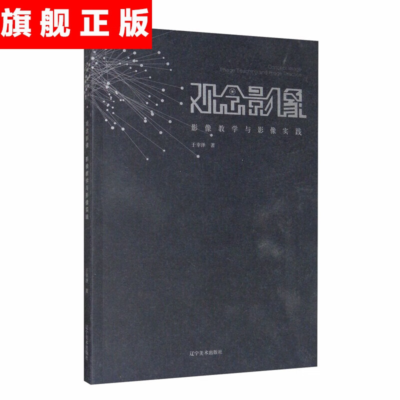 【官方旗舰店】观念影像：影像教学与影像实践