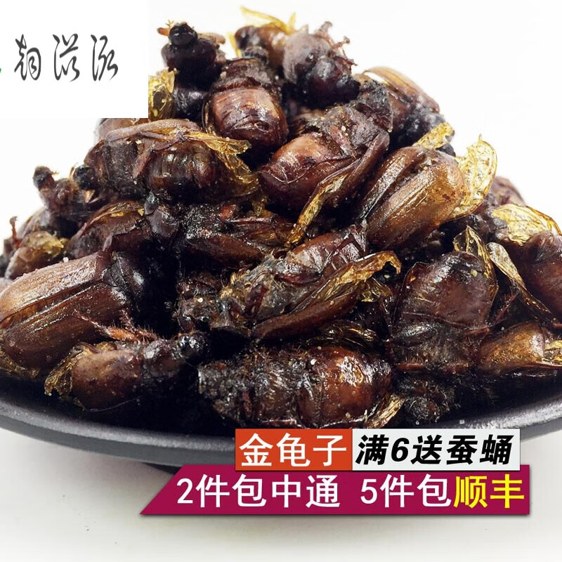 钢馋油炸棕色金龟子即食带籽瞎撞子野外捕捉美味昆虫全母创子昆虫零食