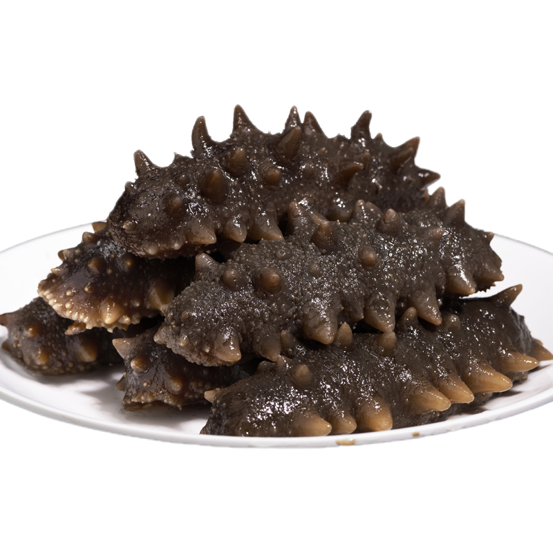 好當(dāng)家 冷凍有機(jī)蒸制即食海參 500g 8-12頭 威海海參 深海底播