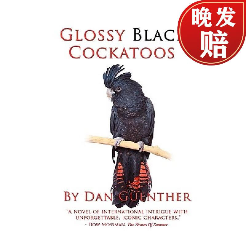 【4周达】glossy black cockatoos